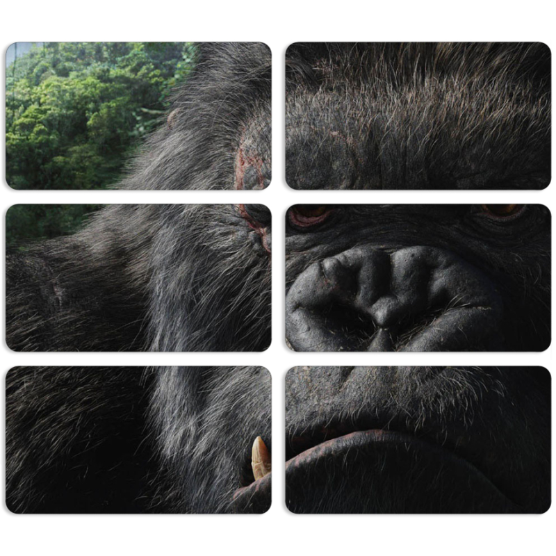 Магнитные фотопазлы 90 на 50 набор 6 штук Kong