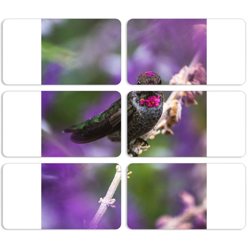 Магнитные фотопазлы 90 на 50 набор 6 штук 