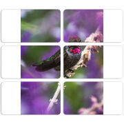 Магнитные фотопазлы 90 на 50 набор 6 штук 