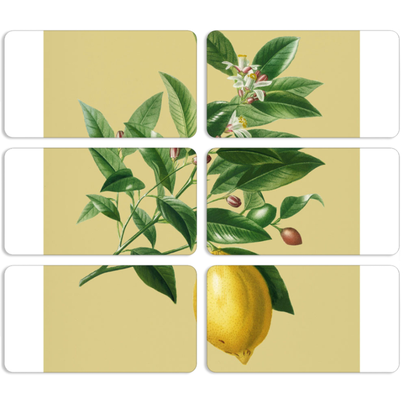 Магнитные фотопазлы 90 на 50 набор 6 штук 