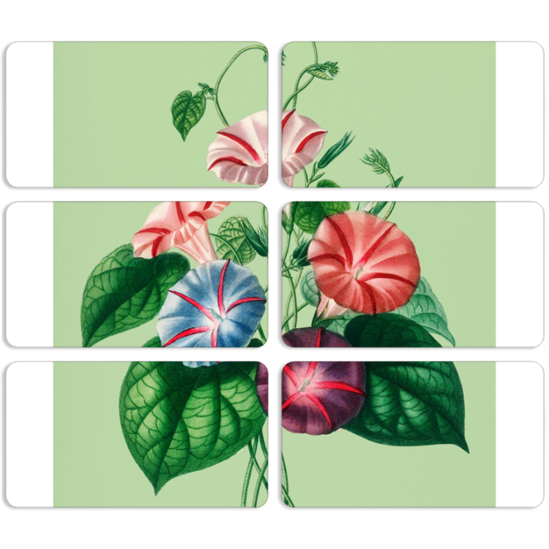 Магнитные фотопазлы 90 на 50 набор 6 штук 