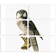 Магнитные фотопазлы 90 на 50 набор 6 штук 