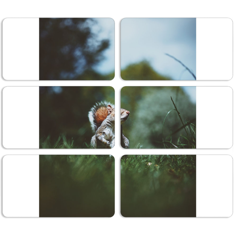 Магнитные фотопазлы 90 на 50 набор 6 штук 