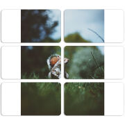 Магнитные фотопазлы 90 на 50 набор 6 штук 