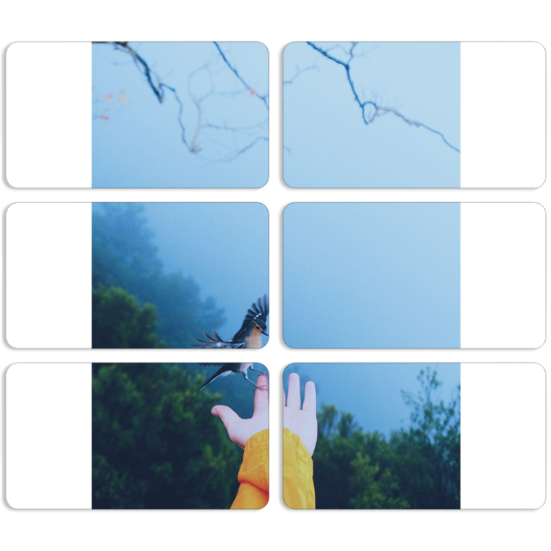 Магнитные фотопазлы 90 на 50 набор 6 штук 