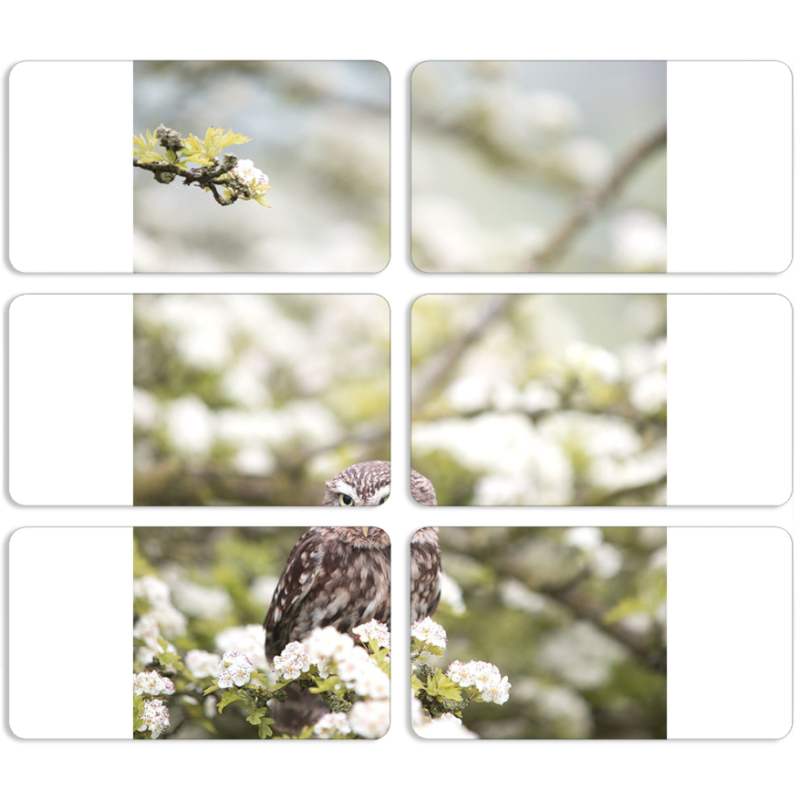 Магнитные фотопазлы 90 на 50 набор 6 штук 