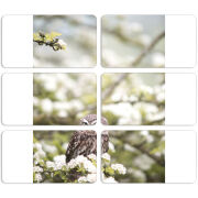 Магнитные фотопазлы 90 на 50 набор 6 штук 