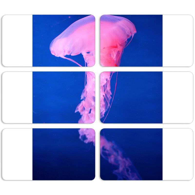 Магнитные фотопазлы 90 на 50 набор 6 штук 