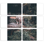 Магнитные фотопазлы 90 на 50 набор 6 штук 