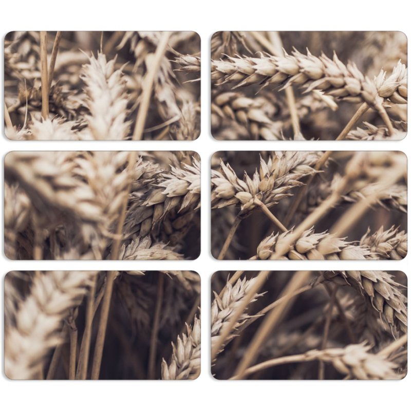 Магнитные фотопазлы 90 на 50 набор 6 штук 