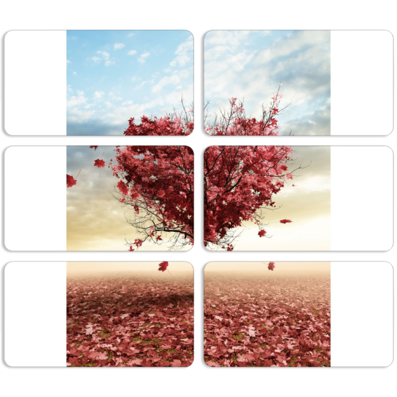 Магнитные фотопазлы 90 на 50 набор 6 штук Tree of Love