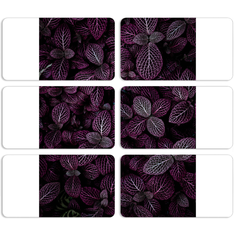 Магнитные фотопазлы 90 на 50 набор 6 штук 