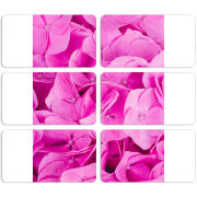 Магнитные фотопазлы 90 на 50 набор 6 штук Pink Flowers