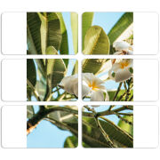 Магнитные фотопазлы 90 на 50 набор 6 штук 