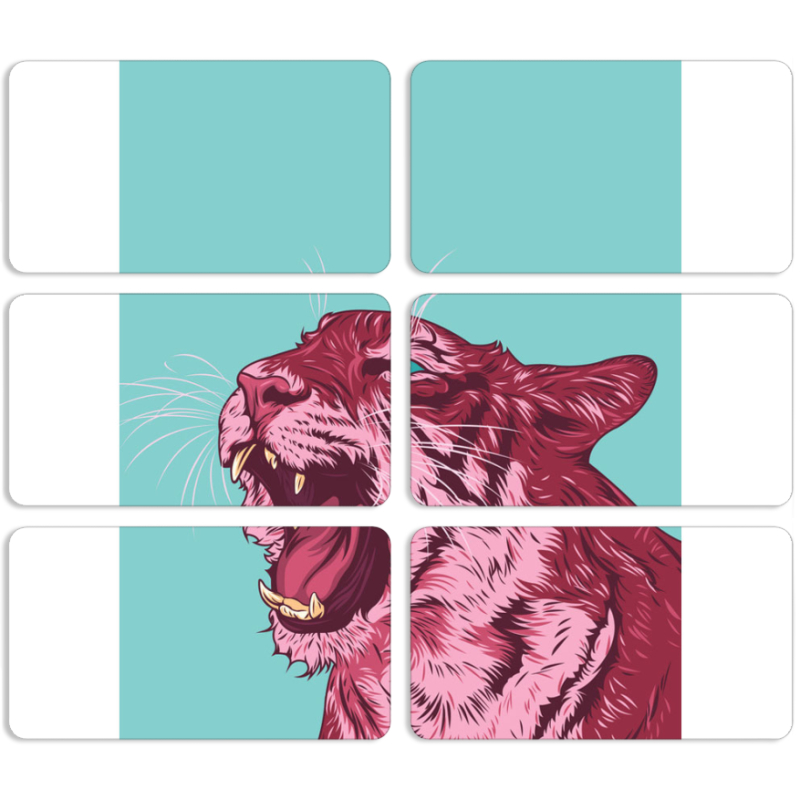 Магнитные фотопазлы 90 на 50 набор 6 штук 