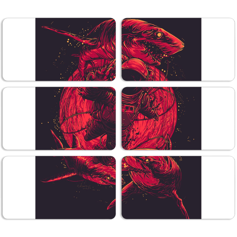 Магнитные фотопазлы 90 на 50 набор 6 штук 