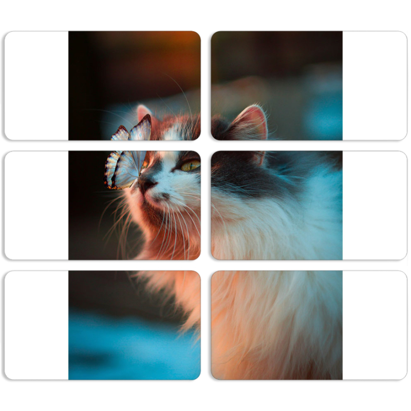 Магнитные фотопазлы 90 на 50 набор 6 штук 