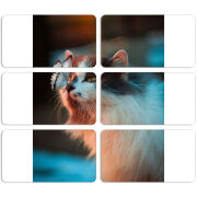 Магнитные фотопазлы 90 на 50 набор 6 штук 