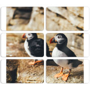 Магнитные фотопазлы 90 на 50 набор 6 штук 