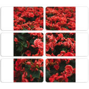 Магнитные фотопазлы 90 на 50 набор 6 штук 