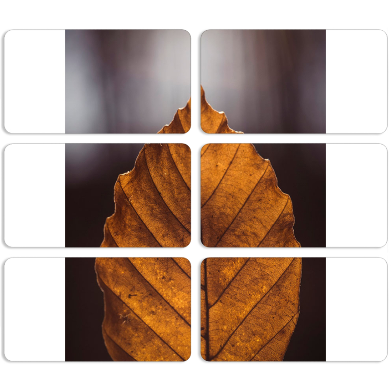 Магнитные фотопазлы 90 на 50 набор 6 штук 