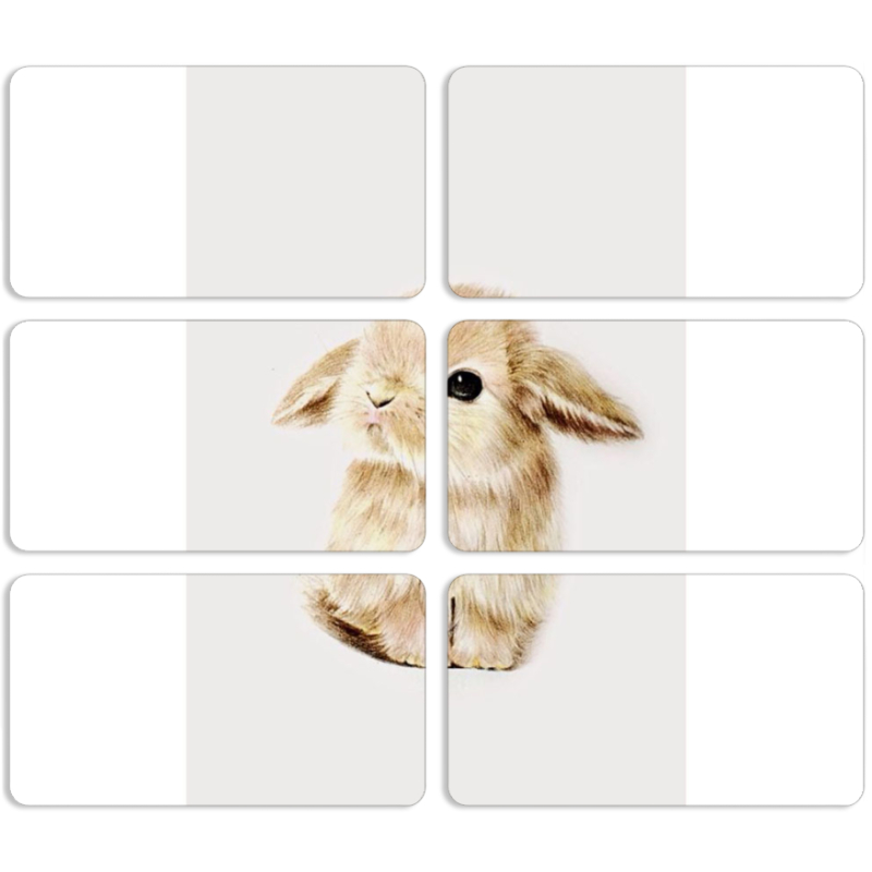 Магнитные фотопазлы 90 на 50 набор 6 штук 