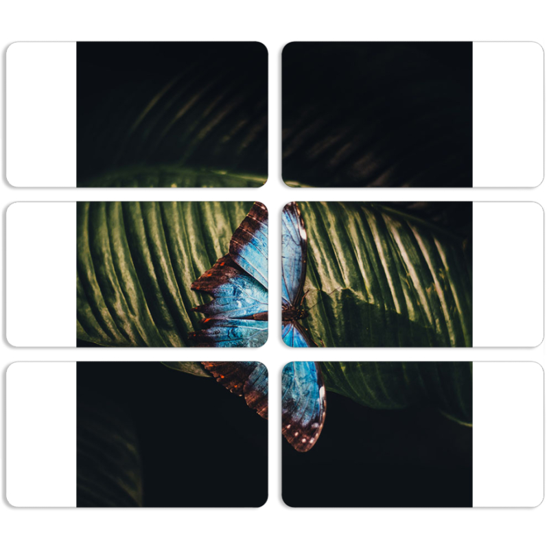 Магнитные фотопазлы 90 на 50 набор 6 штук 