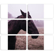 Магнитные фотопазлы 90 на 50 набор 6 штук 