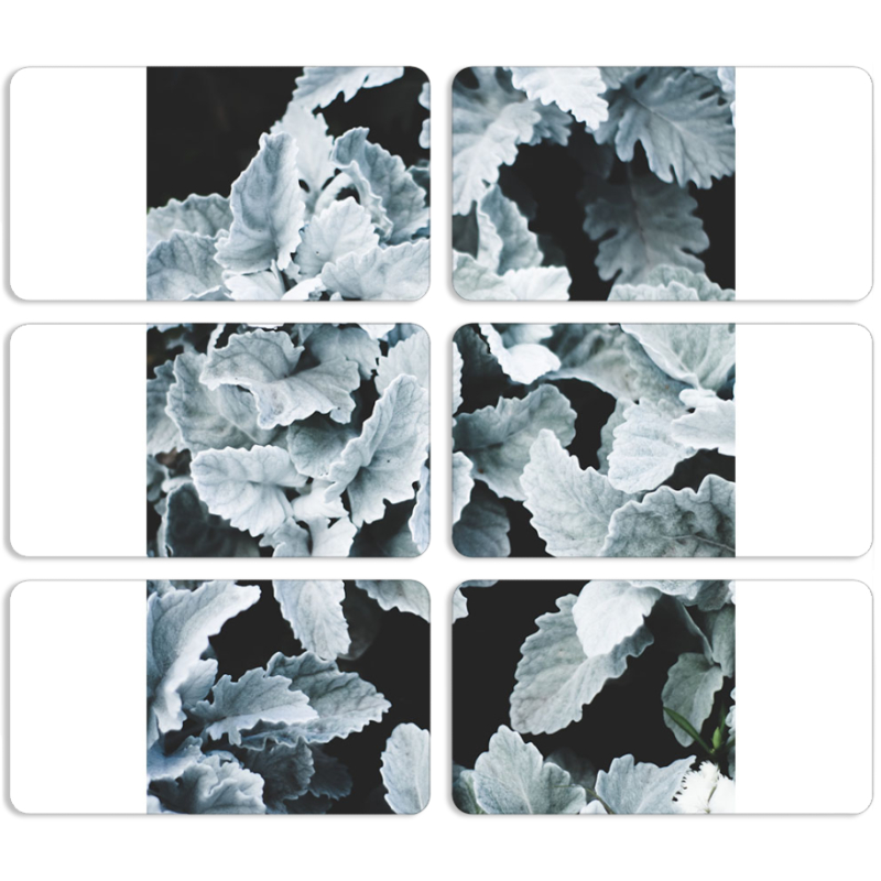 Магнитные фотопазлы 90 на 50 набор 6 штук 