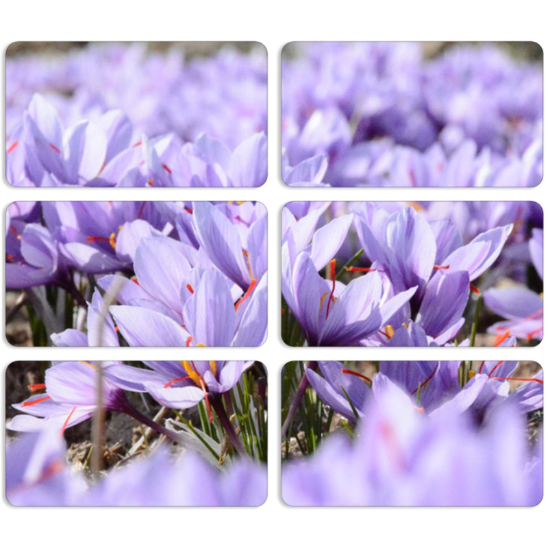 Магнитные фотопазлы 90 на 50 набор 6 штук 