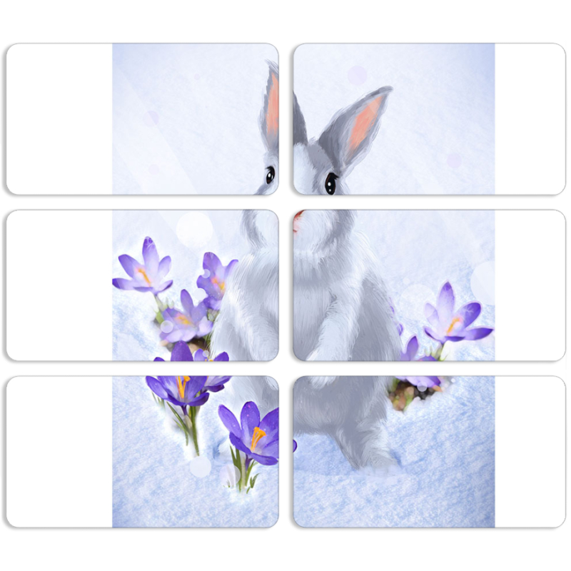 Магнитные фотопазлы 90 на 50 набор 6 штук 