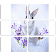 Магнитные фотопазлы 90 на 50 набор 6 штук 