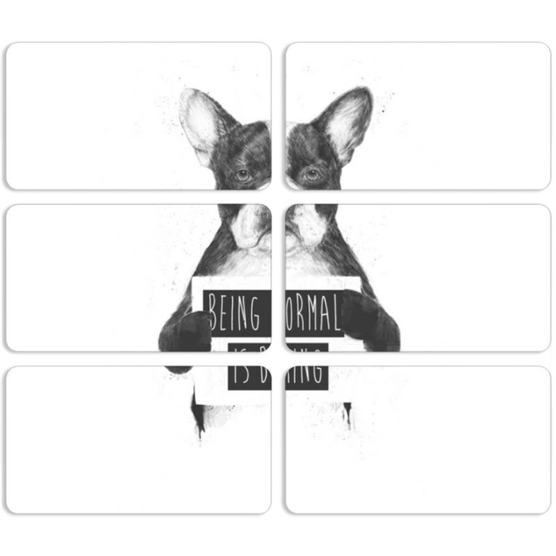 Магнитные фотопазлы 90 на 50 набор 6 штук 