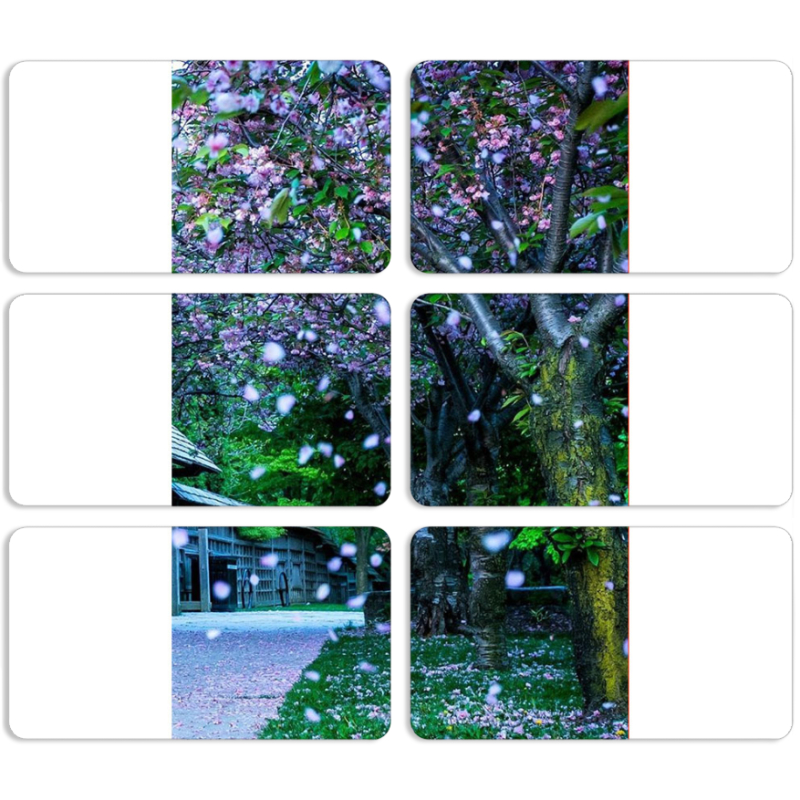 Магнитные фотопазлы 90 на 50 набор 6 штук 