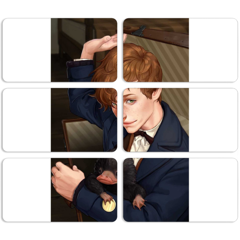 Магнитные фотопазлы 90 на 50 набор 6 штук 