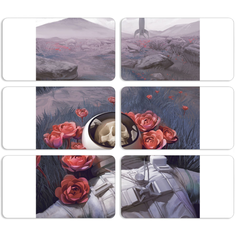 Магнитные фотопазлы 90 на 50 набор 6 штук 