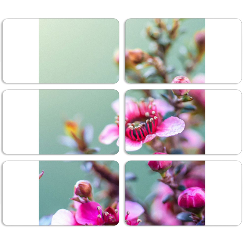 Магнитные фотопазлы 90 на 50 набор 6 штук 