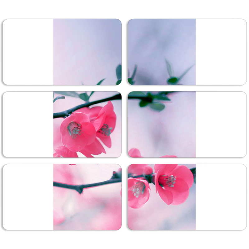 Магнитные фотопазлы 90 на 50 набор 6 штук 