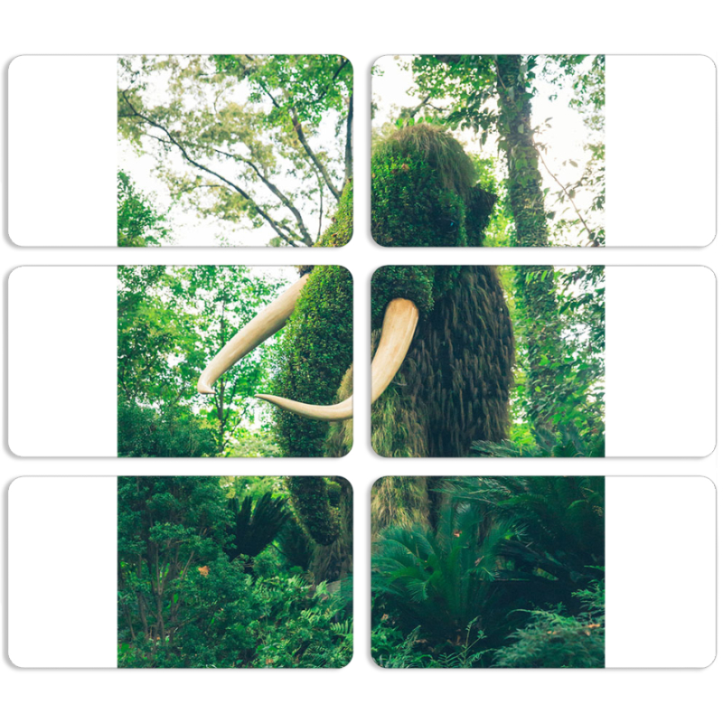 Магнитные фотопазлы 90 на 50 набор 6 штук 