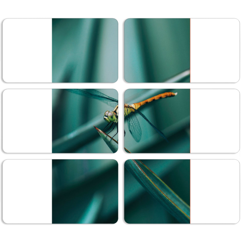 Магнитные фотопазлы 90 на 50 набор 6 штук 