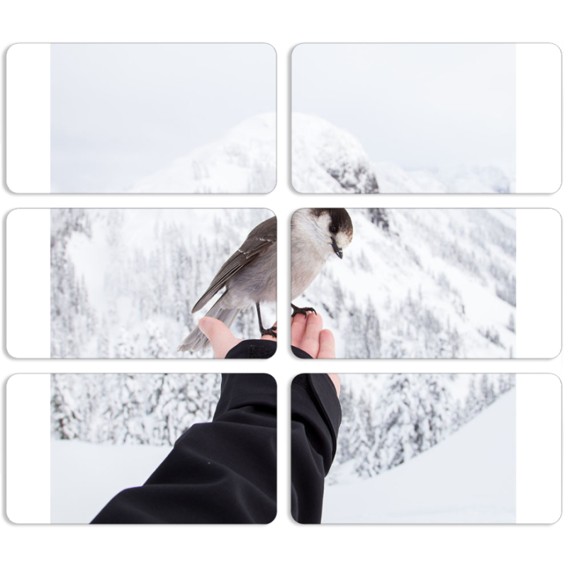 Магнитные фотопазлы 90 на 50 набор 6 штук 