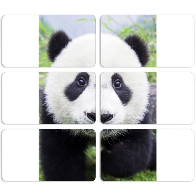 Магнитные фотопазлы 90 на 50 набор 6 штук 