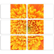 Магнитные фотопазлы 90 на 50 набор 6 штук 