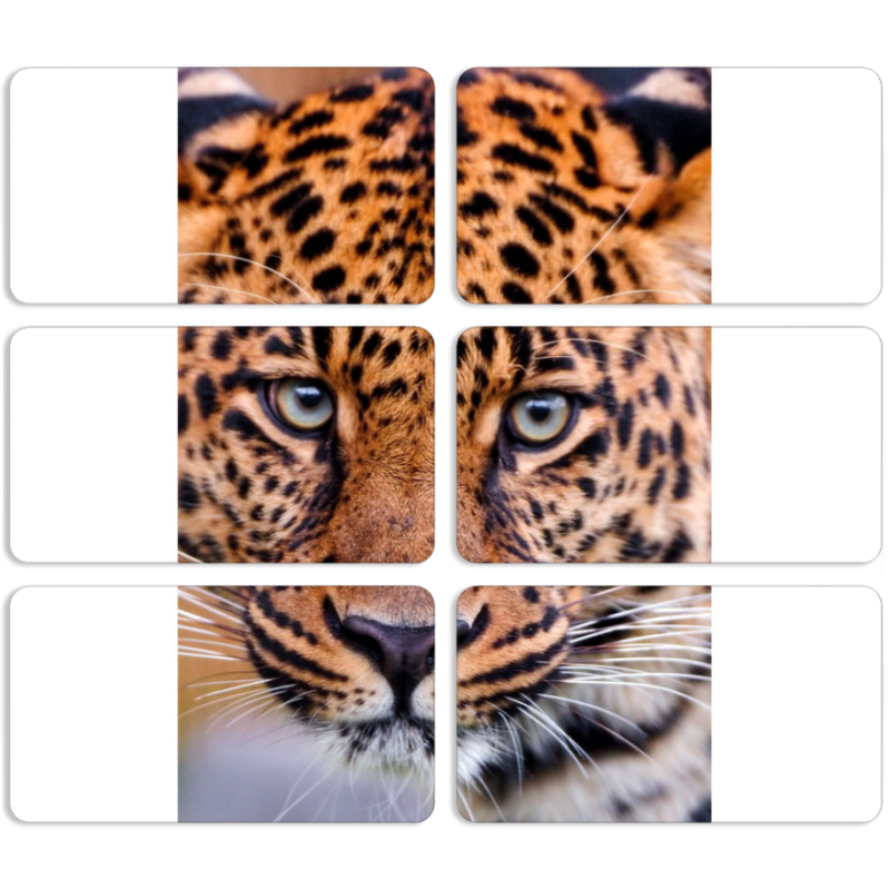 Магнитные фотопазлы 90 на 50 набор 6 штук 