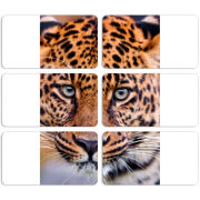 Магнитные фотопазлы 90 на 50 набор 6 штук 