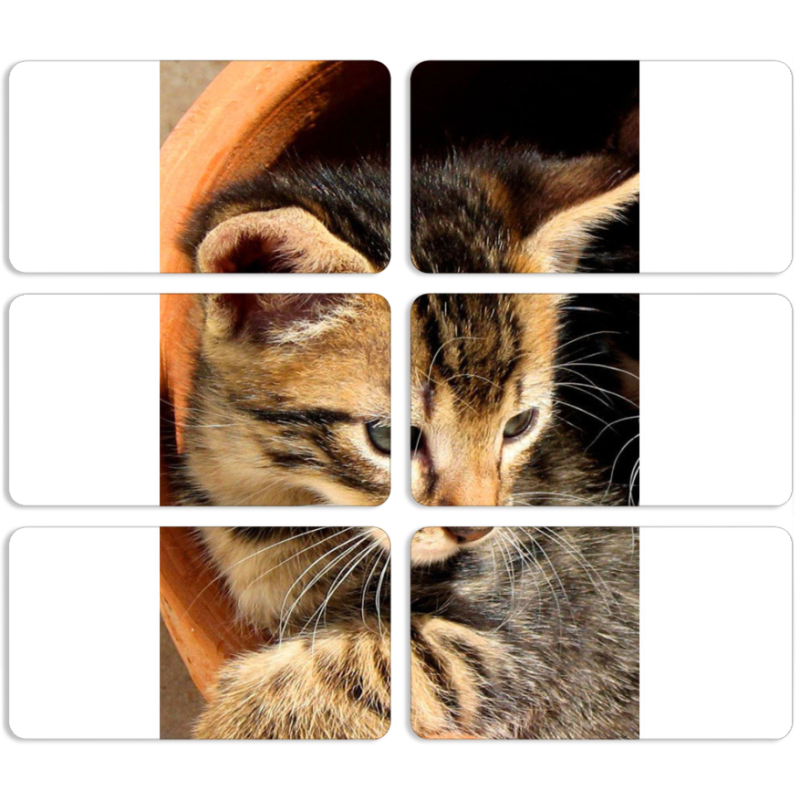 Магнитные фотопазлы 90 на 50 набор 6 штук 