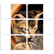 Магнитные фотопазлы 90 на 50 набор 6 штук 