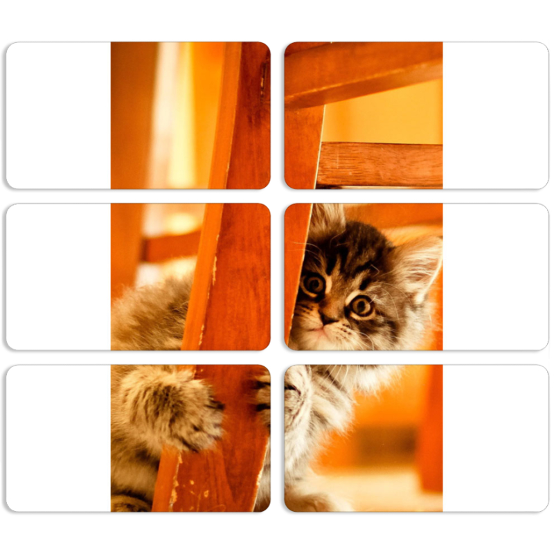 Магнитные фотопазлы 90 на 50 набор 6 штук 