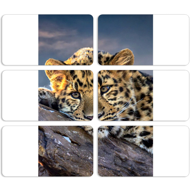 Магнитные фотопазлы 90 на 50 набор 6 штук 