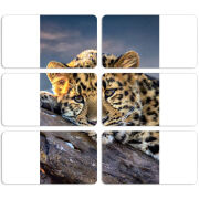 Магнитные фотопазлы 90 на 50 набор 6 штук 